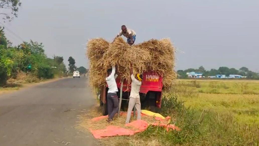 No effect of strike on paddy procurement