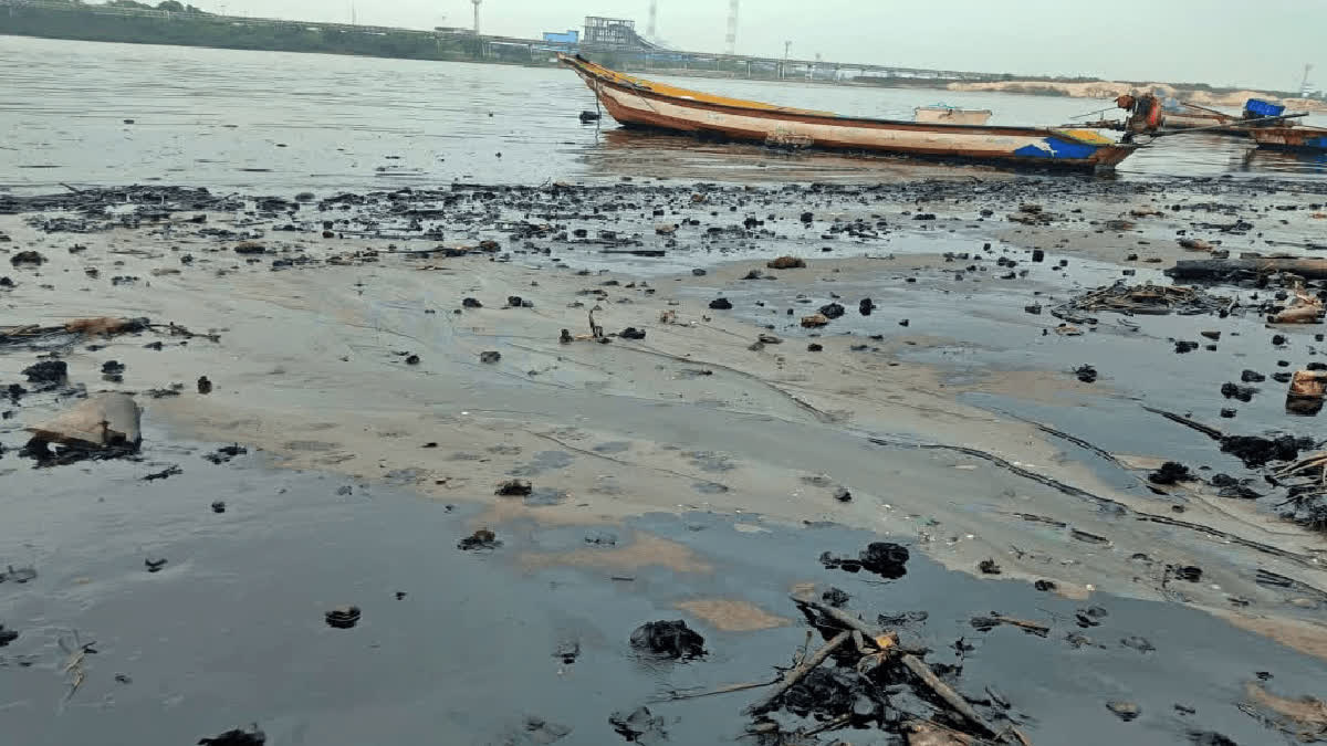 TNPCB directs CPCL to take immediate remedial measures for Ennore Creek oil spillage