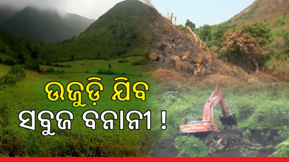 Due to mining Koraput hill areas Losing their beauty