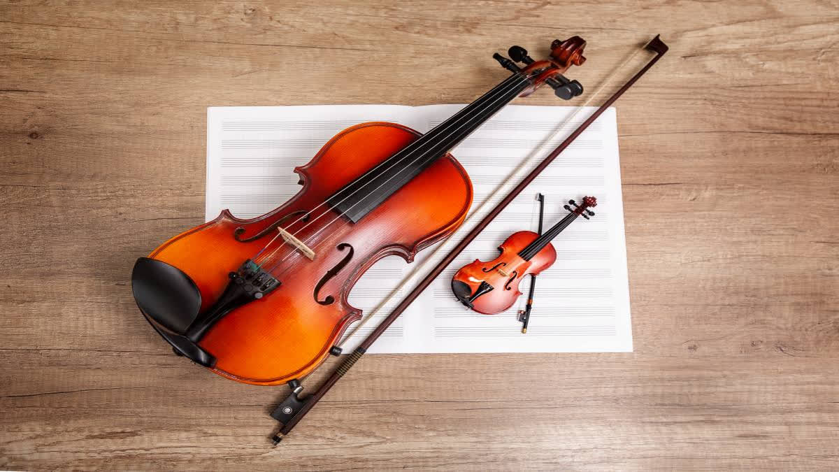 Violin day store