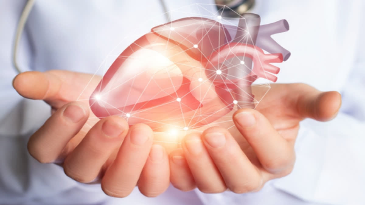 highest burden of deaths due to heart related diseases in these countries