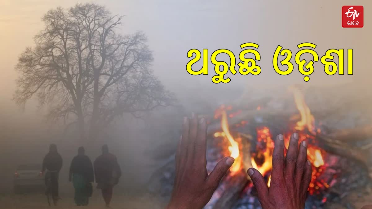 ରାଜ୍ୟରେ ଶୀତର ଲହରୀ: ସବୁଠୁ ଥଣ୍ଡା ସହର ଜି. ଉଦୟଗିରି, ୧୫ ଡିଗ୍ରୀ ତଳେ ଟ୍ୱିନ୍ ସିଟି ପାରଦ