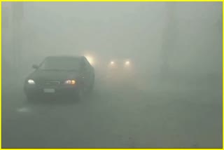Haryana Weather Update Fog Alert in Haryana