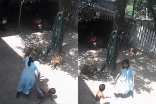 Stray Dog Attack  Stray Dog Attack Thrissur Peringod  Stray Dog Attacked three and half year old boy  Boy Narrowly Escaped From Stray Dog Attack  Thrissur Peringod Stray Dog Attack Video  തെരുവ് നായ  തെരുവ് നായ ആക്രമണം  മൂന്നര വയസുകാരനെ തെരുവ് നായ ആക്രമിച്ചു  തൃശൂര്‍ പെരിങ്ങോട് തെരുവ് നായ ആക്രമണം  പാവറട്ടി പെരിങ്ങാട് തെരുവ് നായ ആക്രമണം