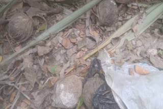 Bomb Recovered in Bhangar