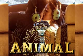 Animal Box Office Collection Day 12