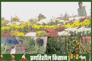 progressive-farmer-of-karnal-got-fame-from-rooftop-farming-how-to-do-rooftop-farming