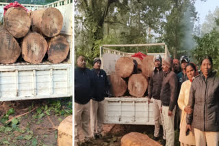 Gang of wood smugglers active in Balrampur