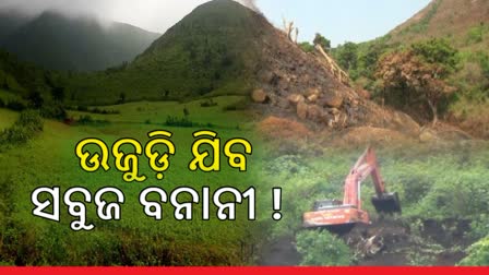 Due to mining Koraput hill areas Losing their beauty