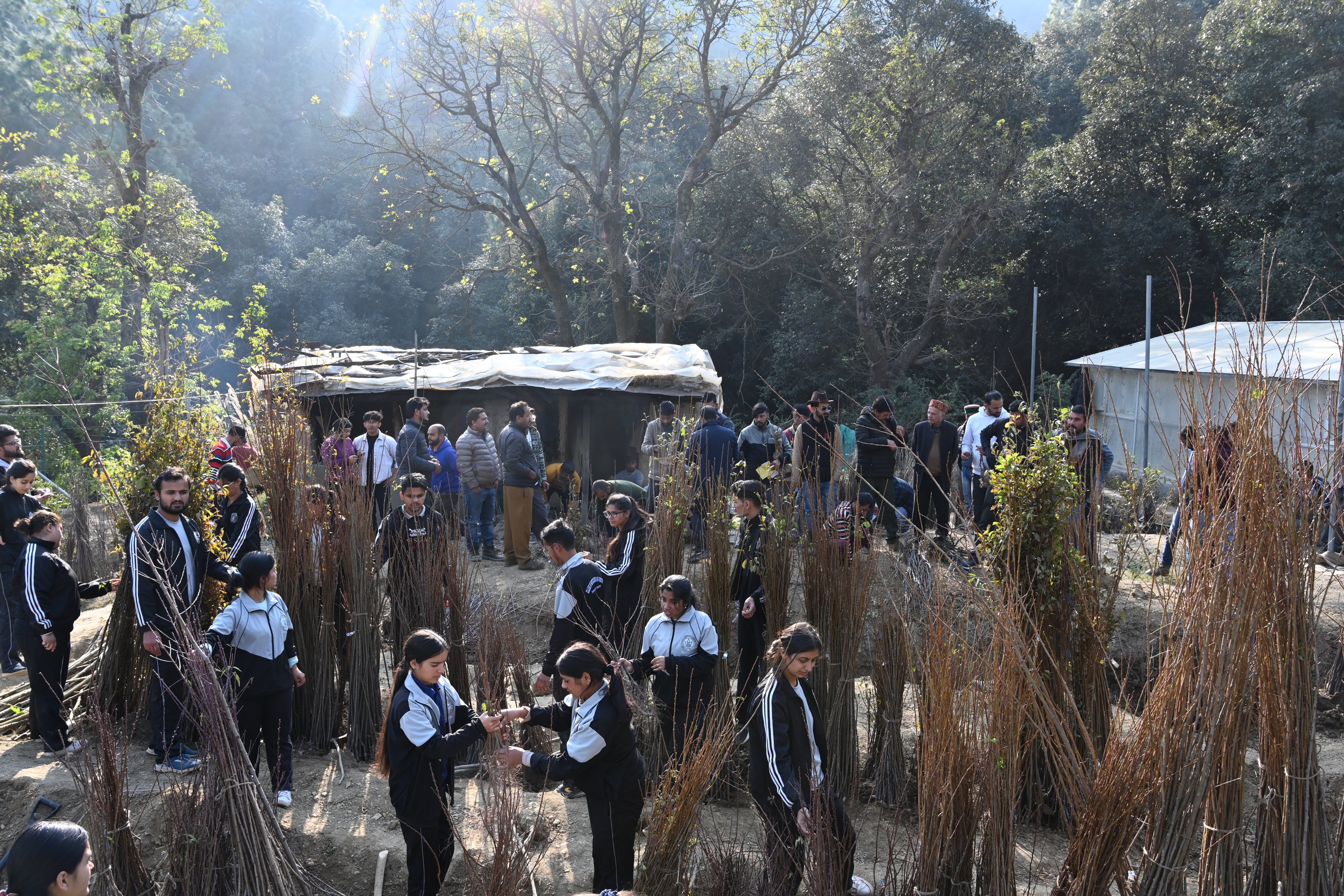 plants Sale started at Nauni University