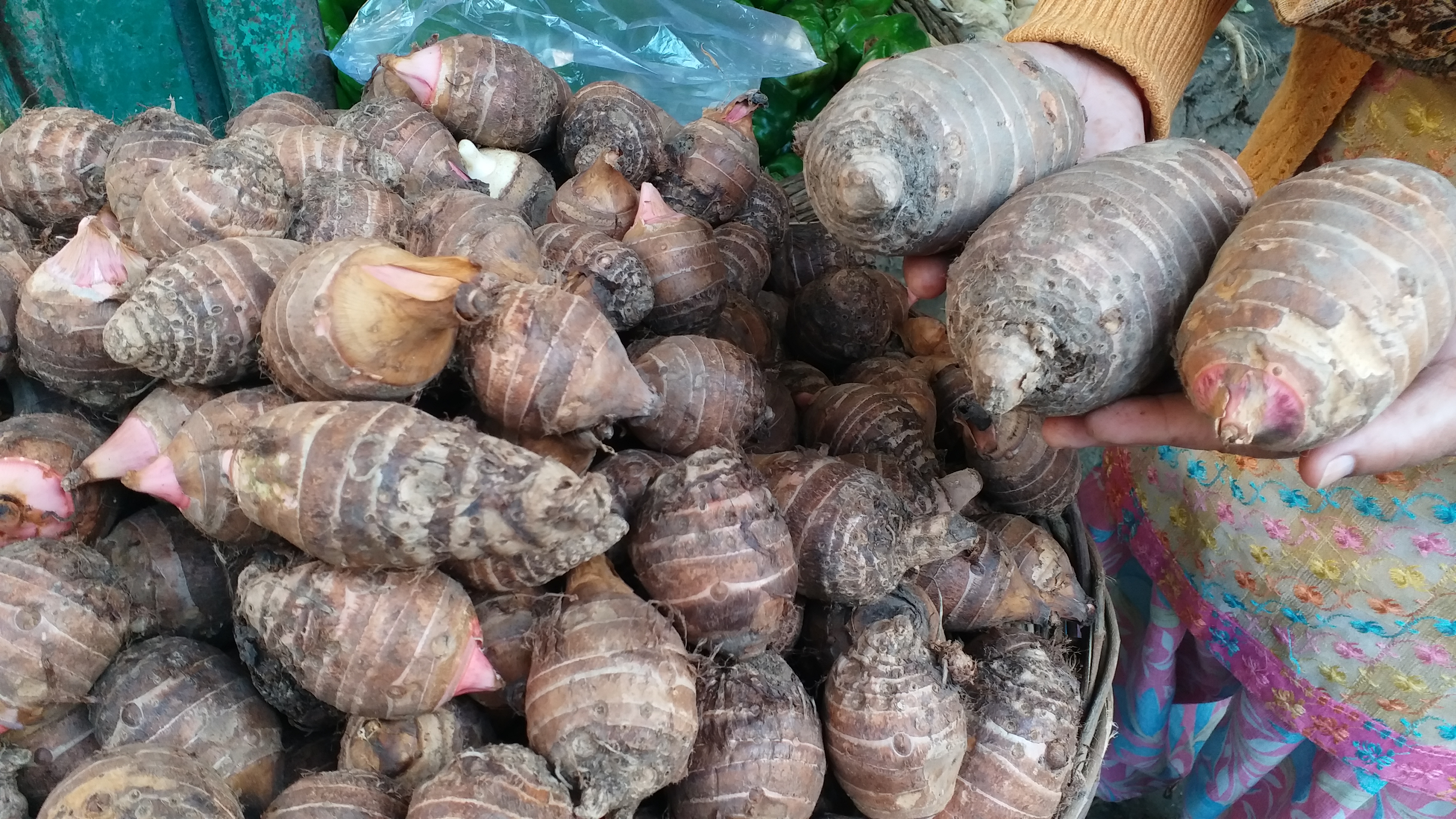 Gethi and Gaderi vegetables of Uttarakhand