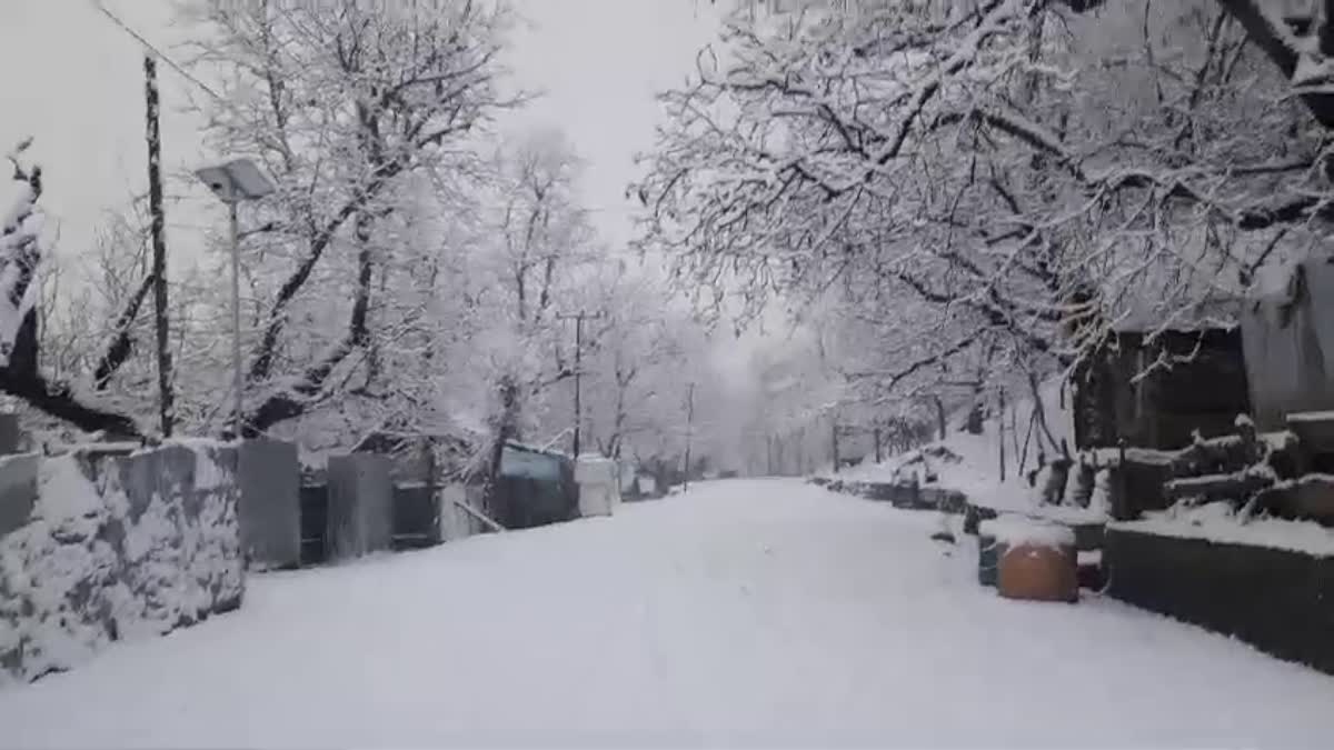 Fresh Snowfall Blankets Kashmir Valley