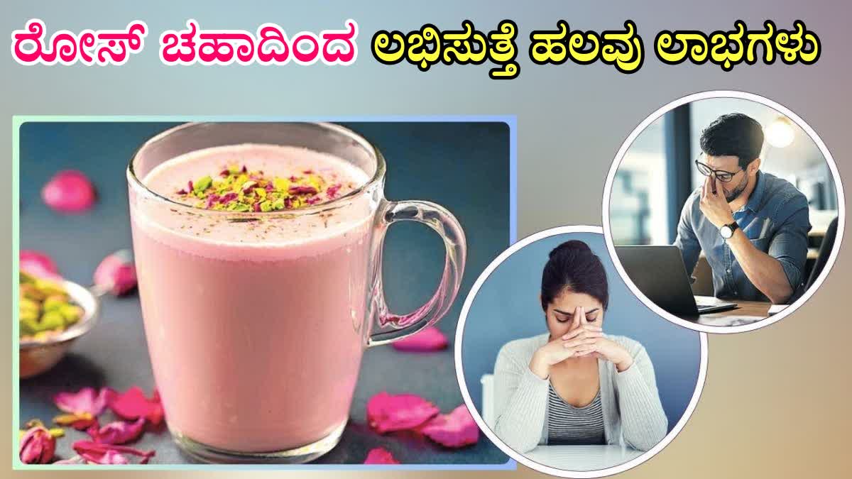 HOW TO MAKE ROSE TEA  ROSE TEA BENEFITS  BENEFITS OF CONSUMING ROSE TEA  ROSE TEA HEALTH BENEFITS IN Kannada