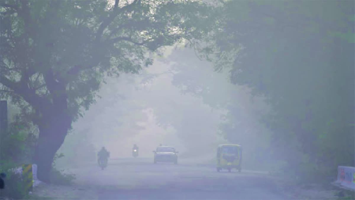 Fog in The State for Next Three Days Said Hyderabad Weather Department