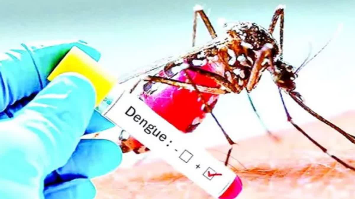 DENGUE CASES INCREASED IN TELANGANA