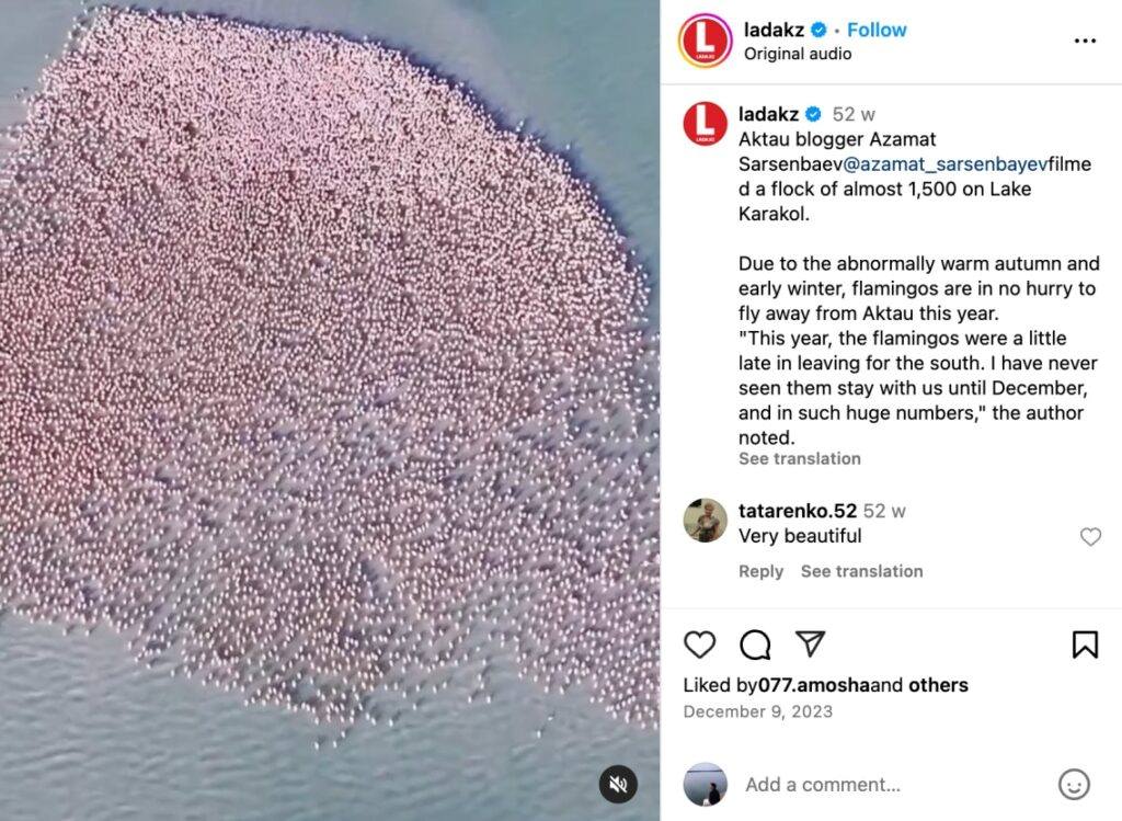 Factly revealed that a video claiming to show flamingos in Navi Mumbai is false. The visuals are actually from Mangystau, Kazakhstan.