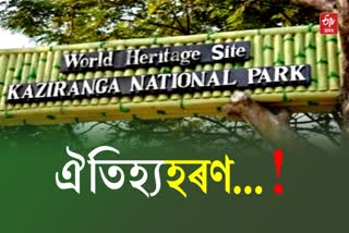 Kaziranga historic guest house