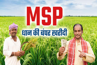 MOHAN YADAV GOVT PADDY PURCHASE