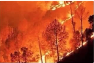 PAURI GARHWAL FOREST FIRE