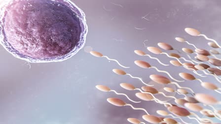 OBESITY AND INFERTILITY  LOSING WEIGHT IMPROVES SPERM COUNT  പുരുഷ വന്ധ്യത  IMPACT OF OBESITY ON MALE FERTILITY