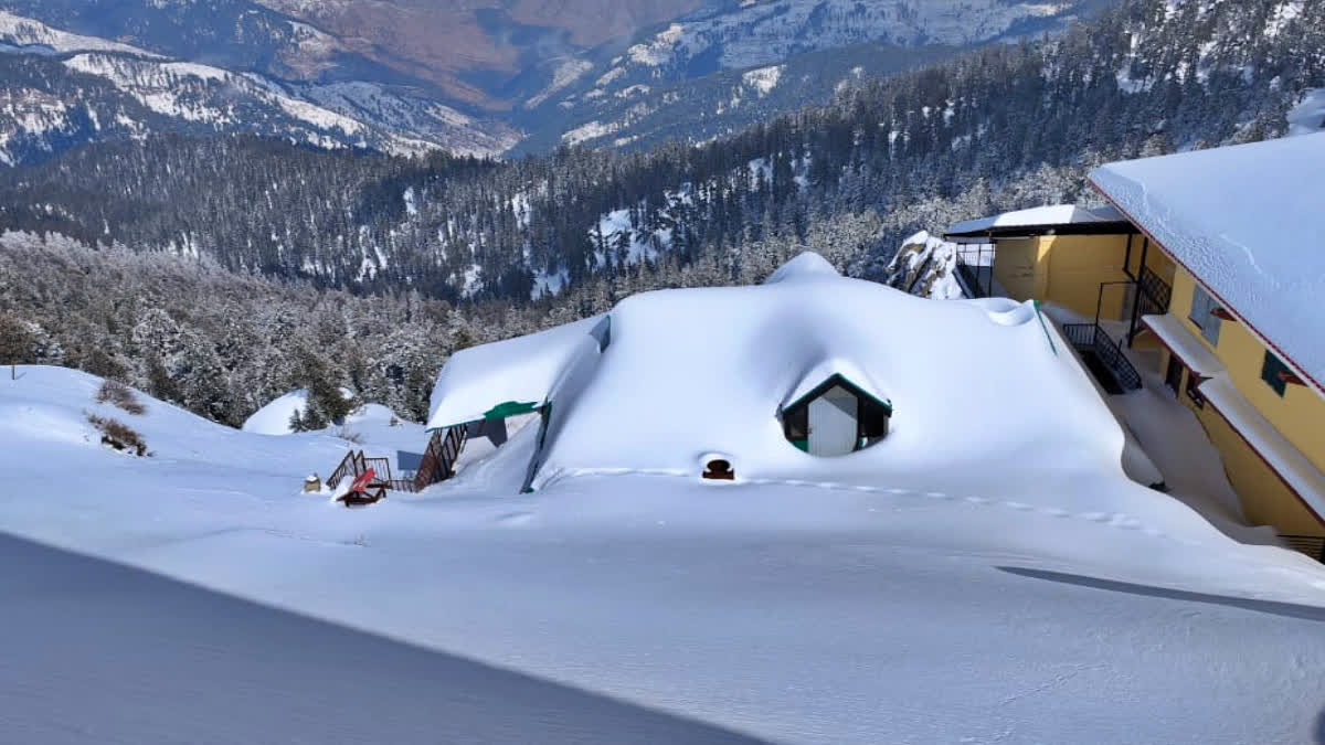 snowfall on churdhar peak