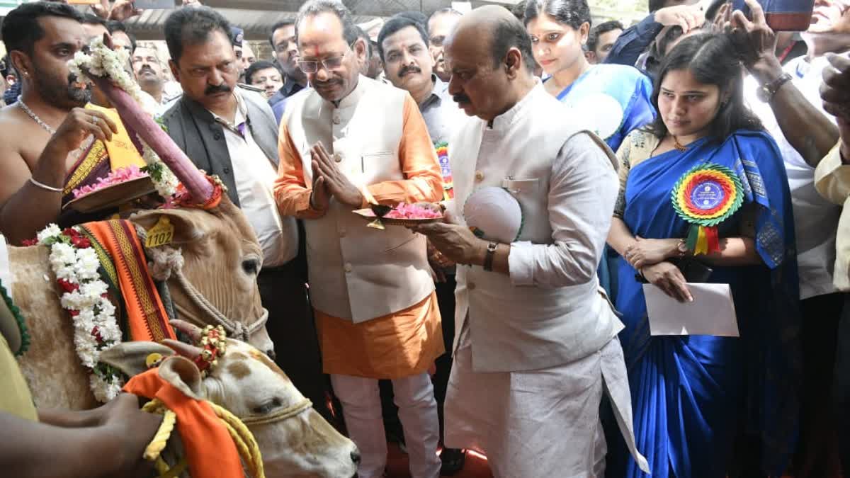 CM Bommai done puja to the cows