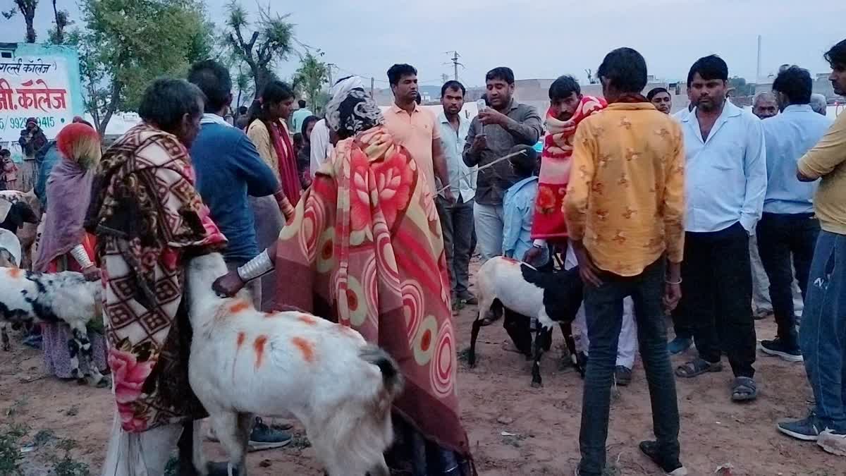 15 goats died suddenly in alwar bansur