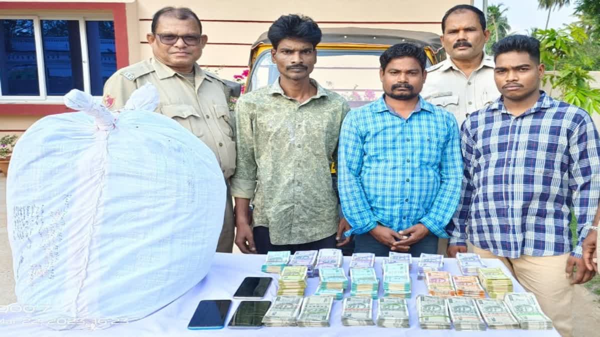 cannabis seized from khurda