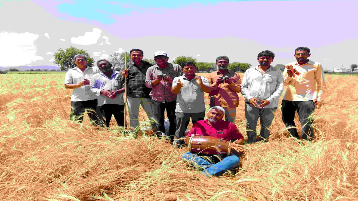 Unseasonal Rain : મોઢે આવેલો કોળિયો છીનવાતા, ખેડૂતોએ ખેતરમાં રામધૂન બોલાવી સરકાર પાસે કરી માંગ