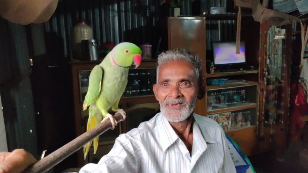 Parrot lives with Human Family in Nadia for last 14 Years