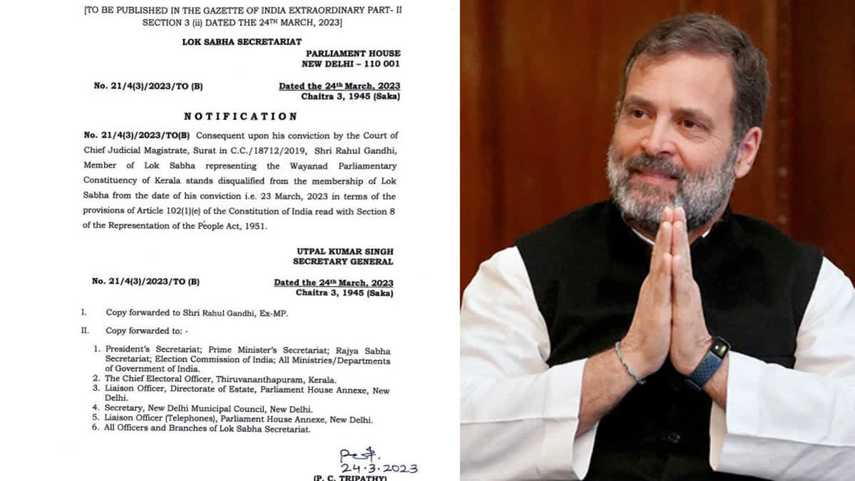 Lok Sabha Speaker's decision on Rahul Gandhi after the defamation case