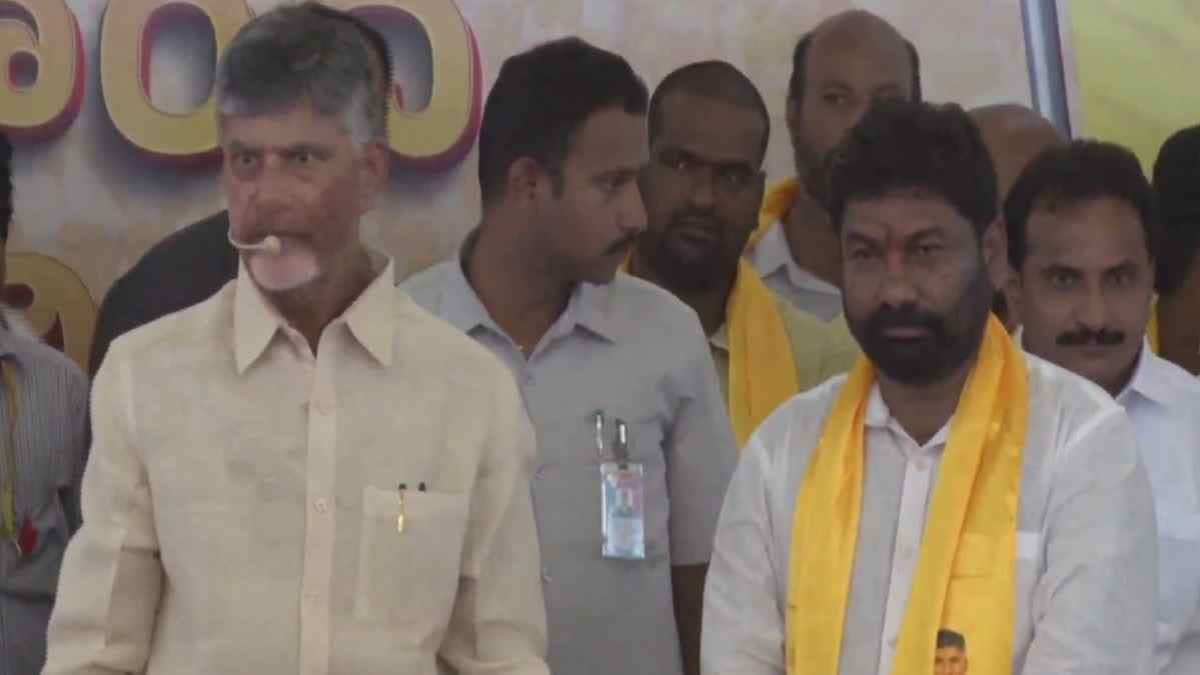 CBN ON MLC WINNING