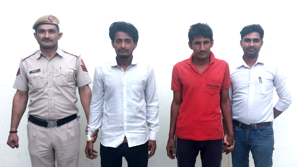 Buffalo thief arrested in Rohtak