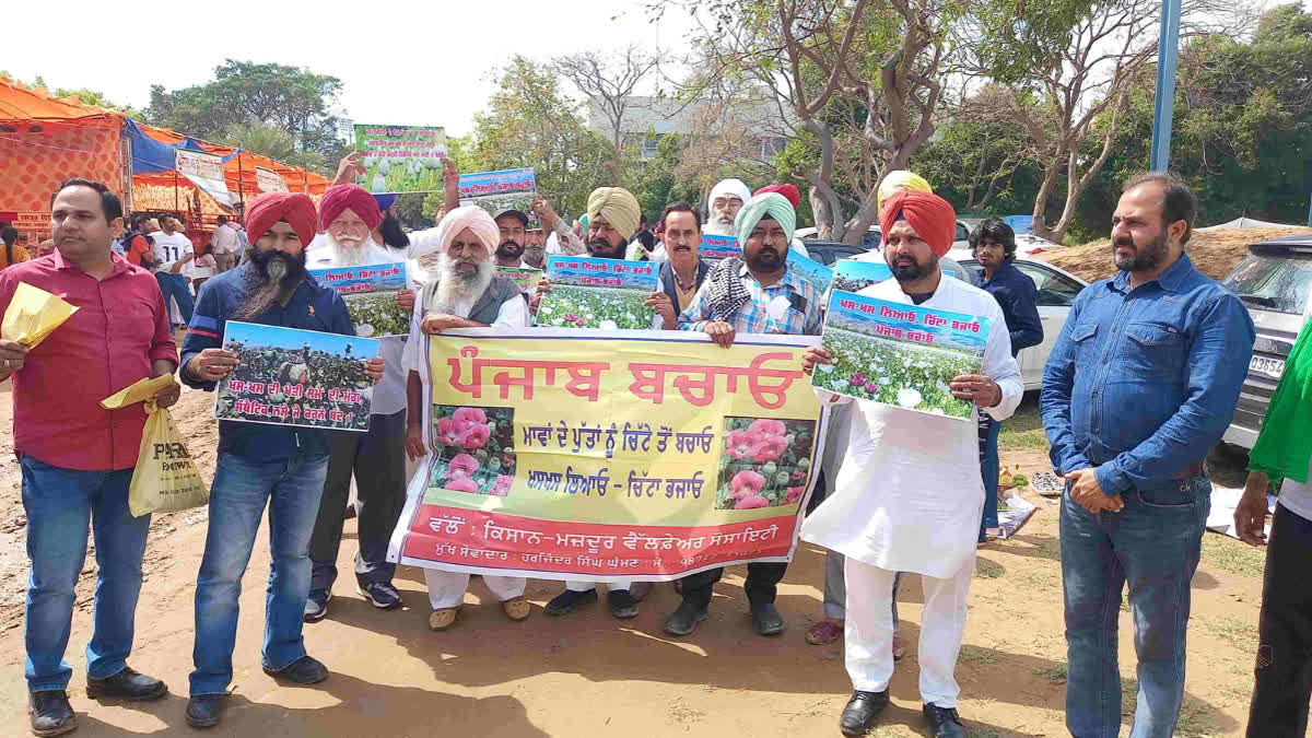 Demand for traditional drugs arose in Ludhiana Kisan Mela