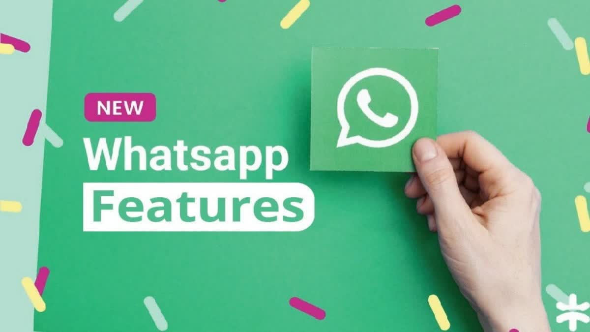 WhatsApp launches official chat on iOS Android