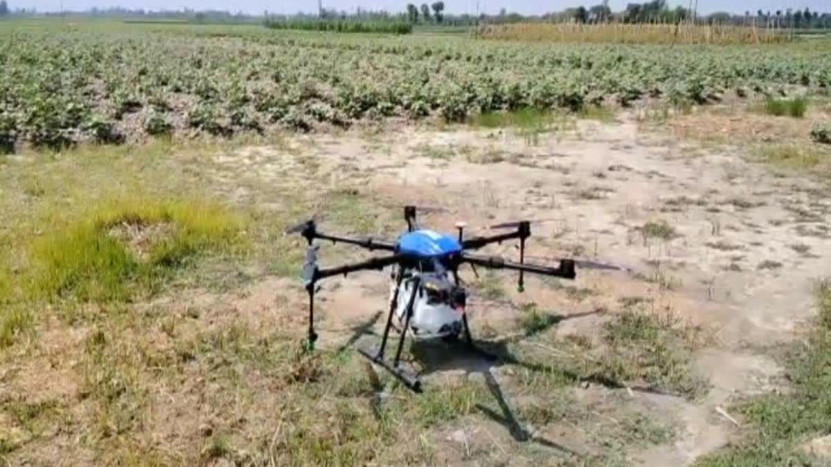 Drone Use in Agriculture