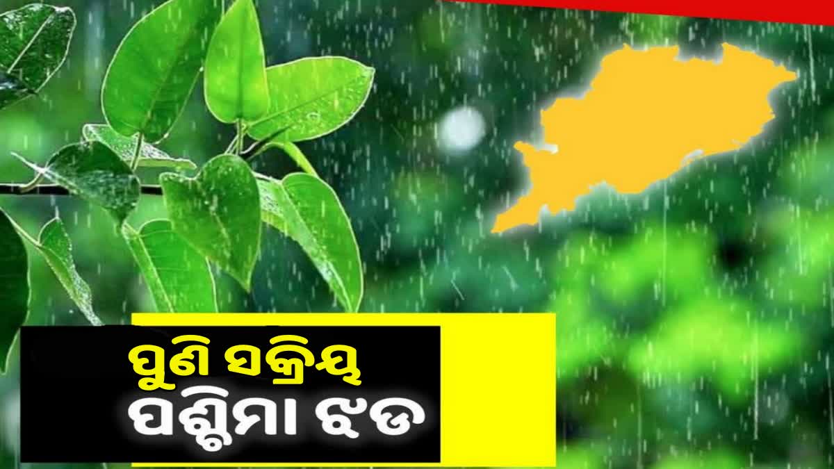 ରାଜ୍ୟରେ ପୁଣି ସକ୍ରିୟ ହେବ ପଶ୍ଚିମାଝଡ଼