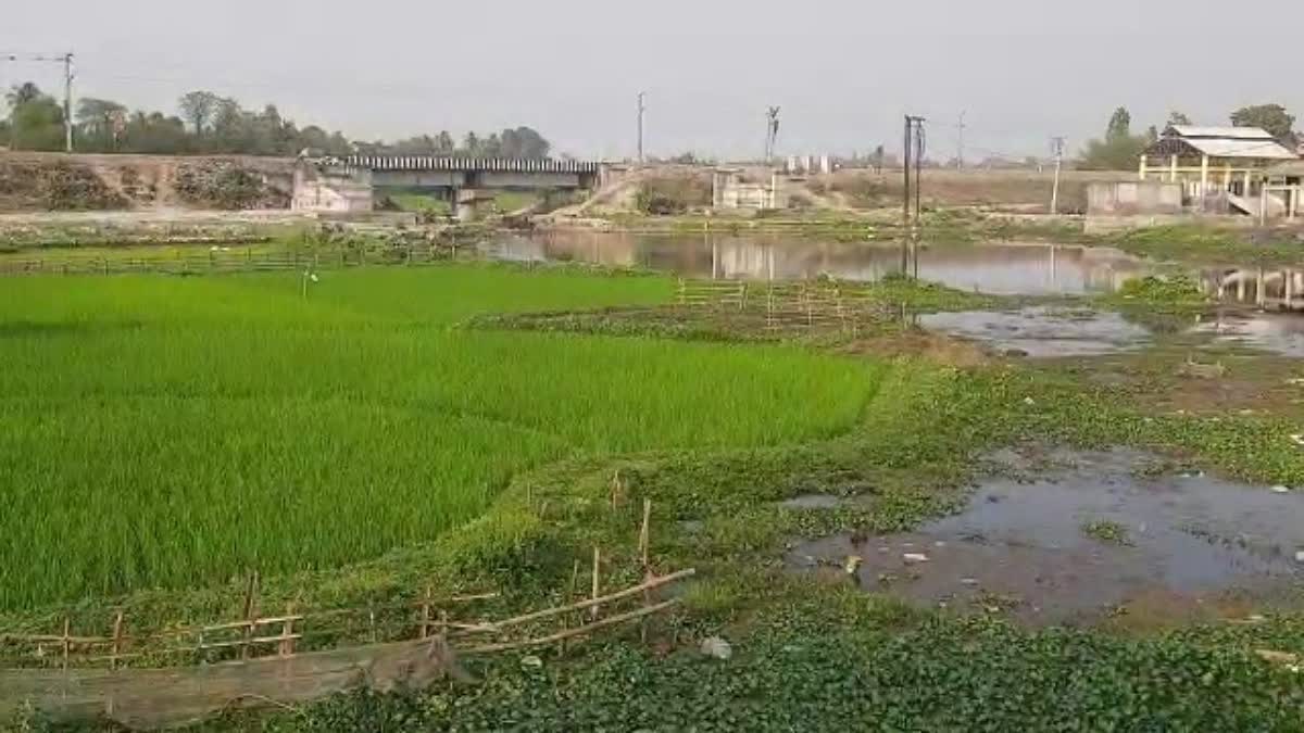 River occupied for Farmimg