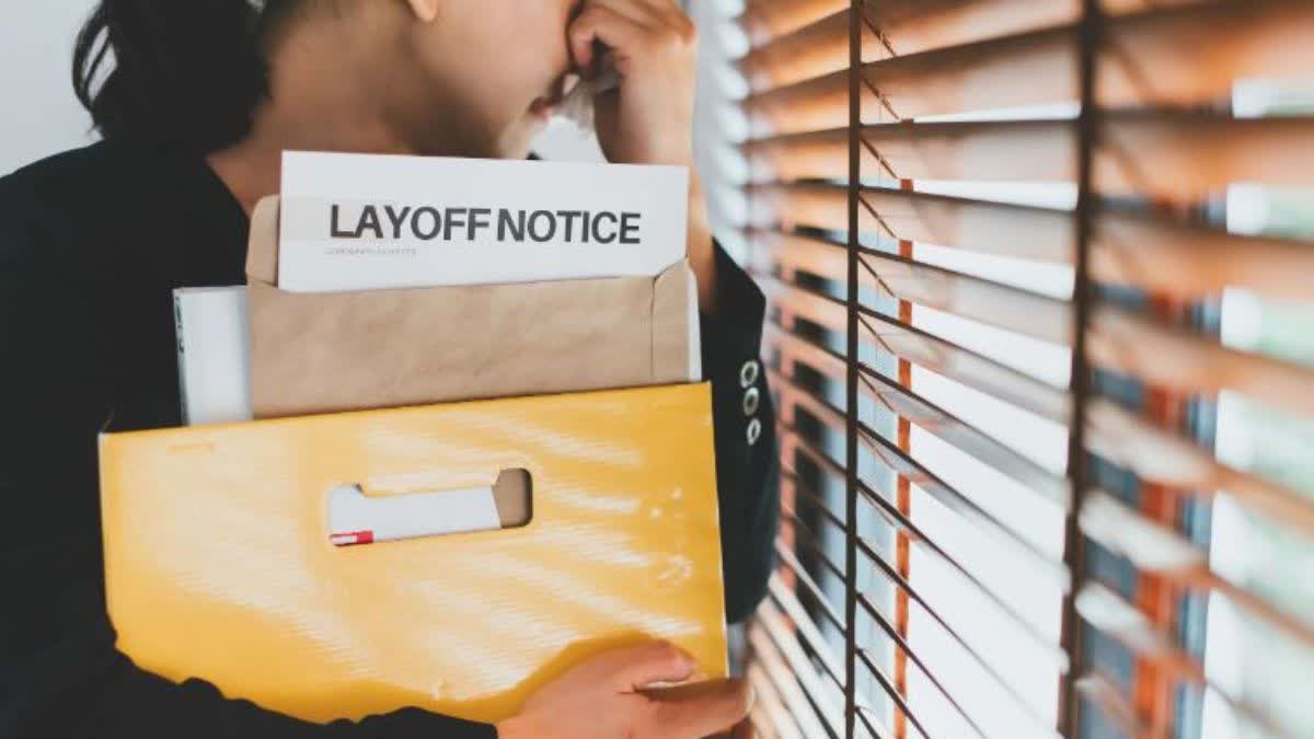 Layoff News in IT Sector