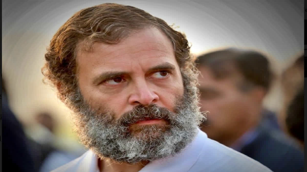 In Wayanad, life goes on after Rahul Gandhi's disqualification as MP