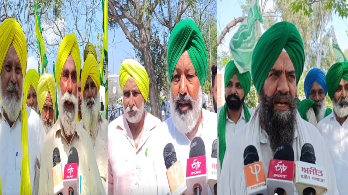 Farmers on CM Mann's Decision: Farmers unhappy with CM Mann's announcement on crop loss