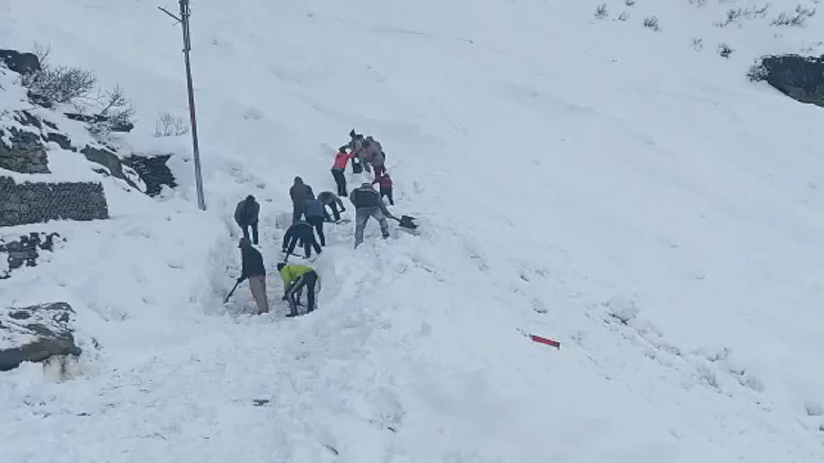 Kedarnath Snowfall Video