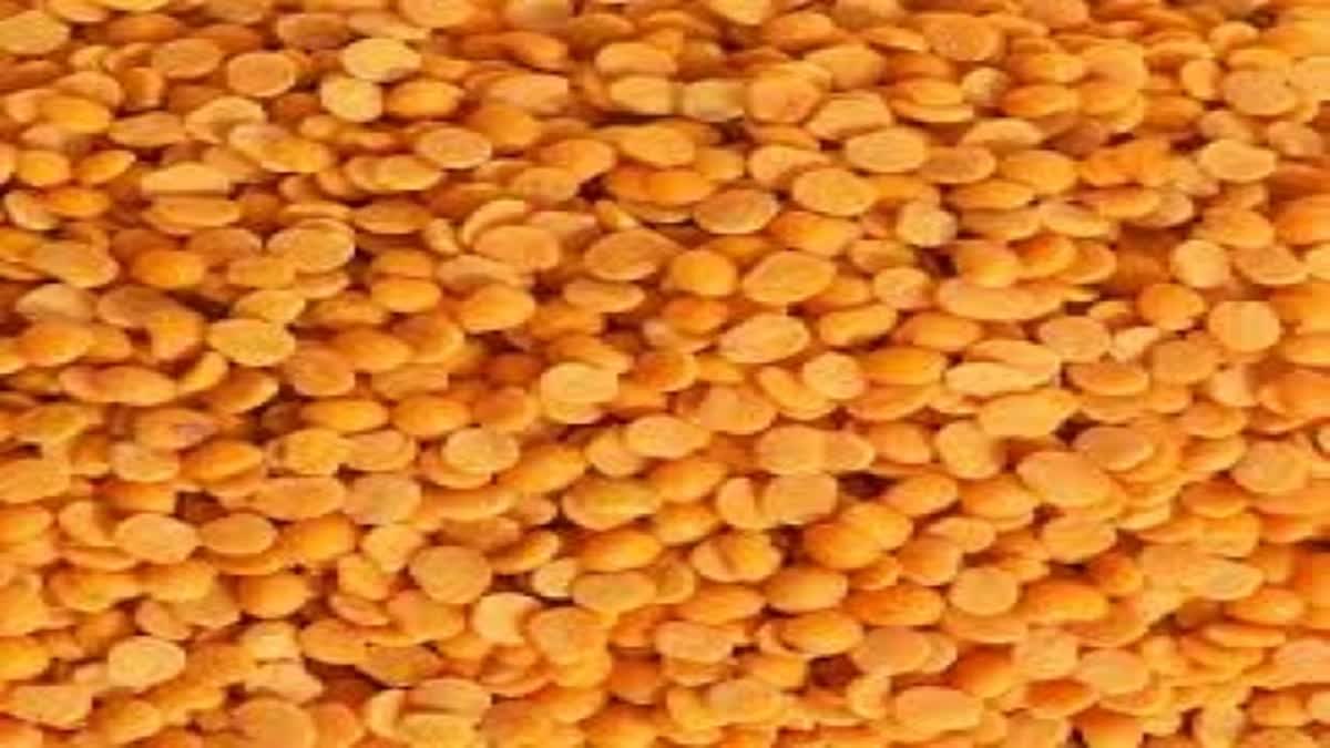 Govt sets up committee to monitor tur dal stocks to check hoarding