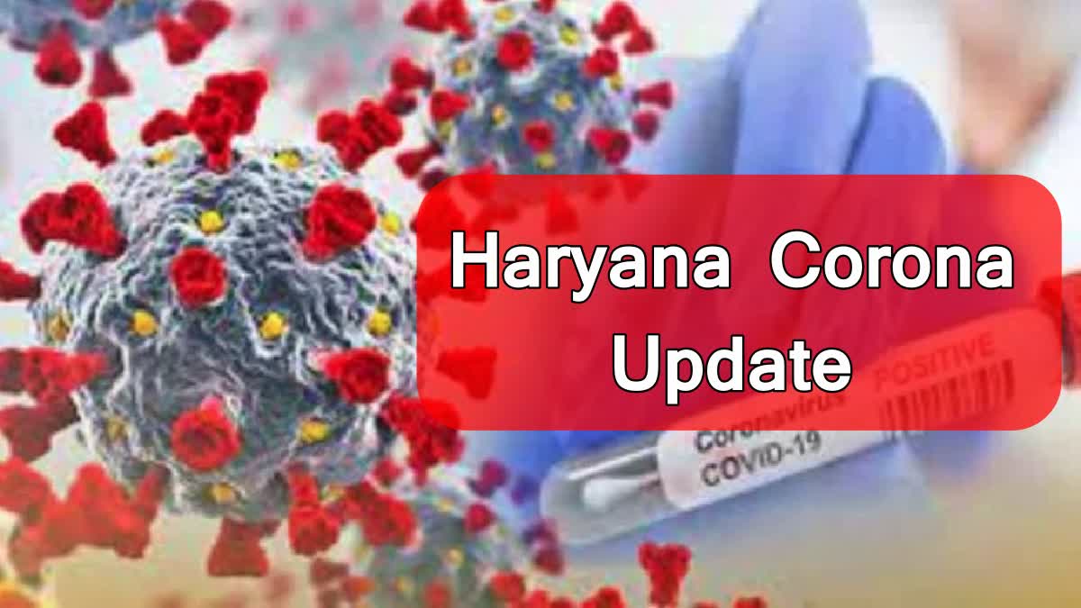Total Corona Cases in Haryana