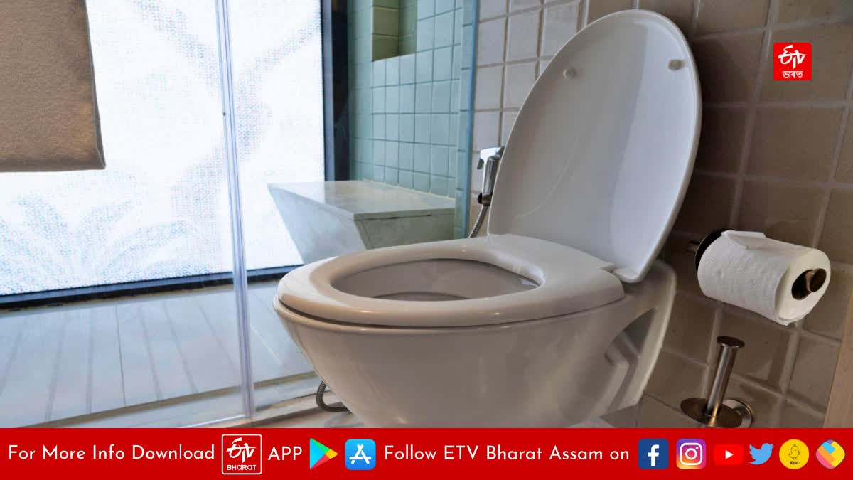 There are many times more bacteria around you than toilet seat negligence can make you ill