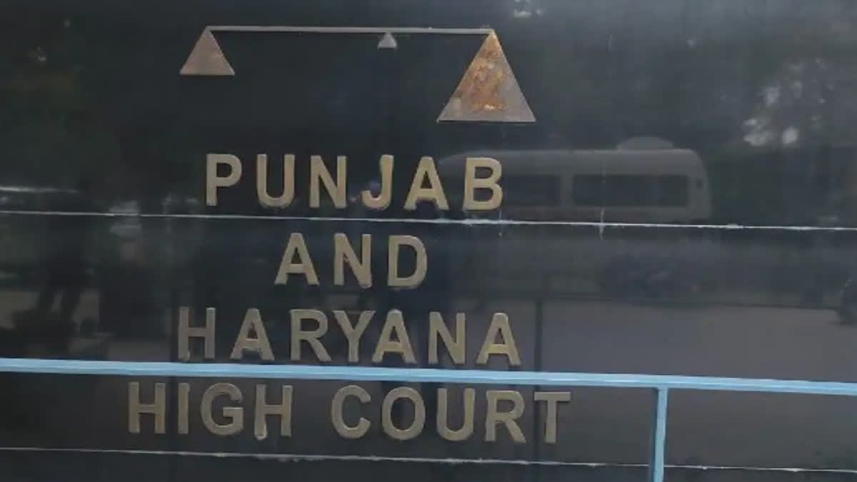 High Court opened 3 sealed reports of SIT