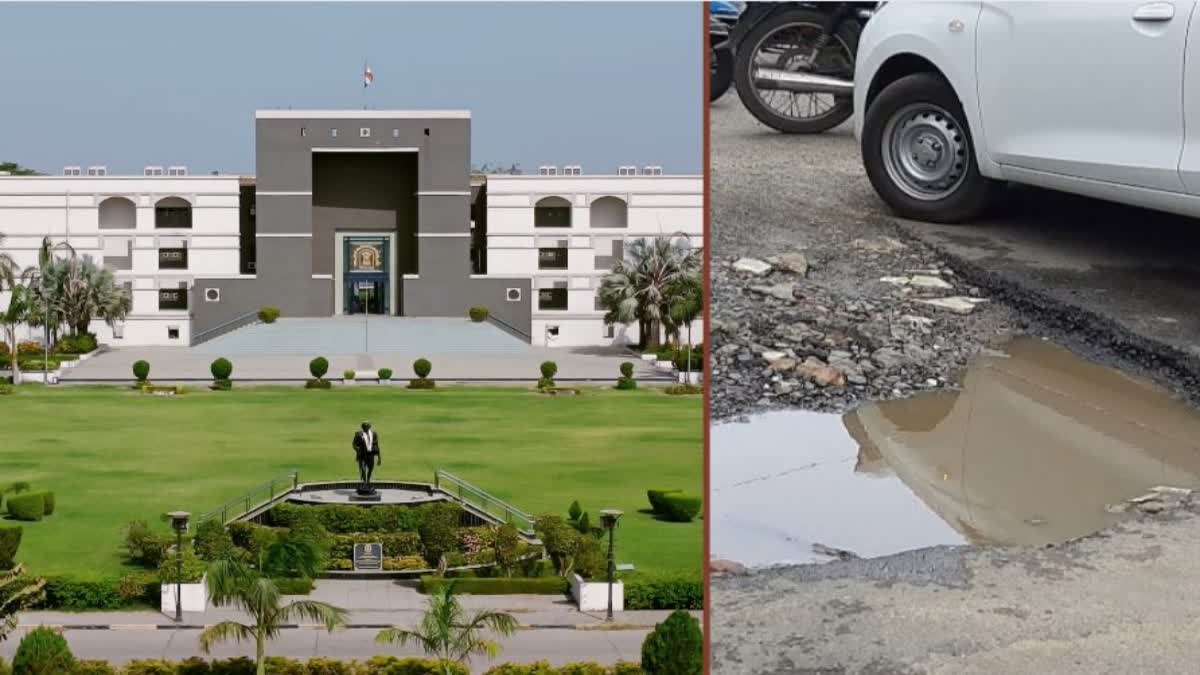 Gujarat High Court News : બિસ્માર રસ્તા અને રખડતા ઢોરની વાસ્તવિક પરિસ્થિતિ અંગે રિપોર્ટ આપવા ગુજરાત હાઇકોર્ટનો નિર્દેશ