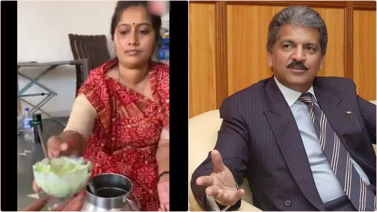 Mahindra & Mahindra Chairman Anand Mahindra