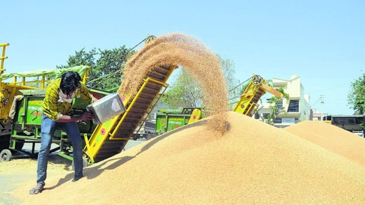 Government procurement of wheat in Punjab will start from April 1