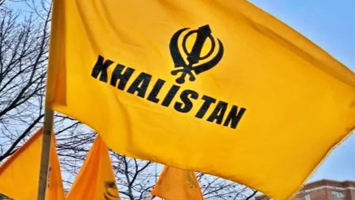 Khalistan flag